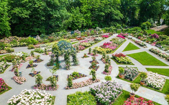 Colorful flower beds and pathways at New York Botanical Gardens.