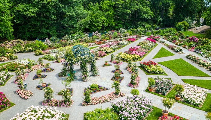 Visitors exploring the vibrant flora at New York Botanical Gardens, Bronx, New York.