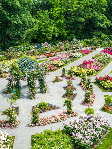 Colorful flower beds and pathways at New York Botanical Gardens.