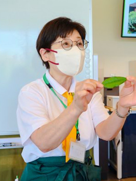 uji, kyoto: toegang tot het theemuseum met een matcha grind & brew experience-6