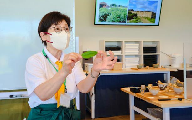 uji, kyoto: intrare la muzeul ceaiului cu o experiență matcha grind & brew-3