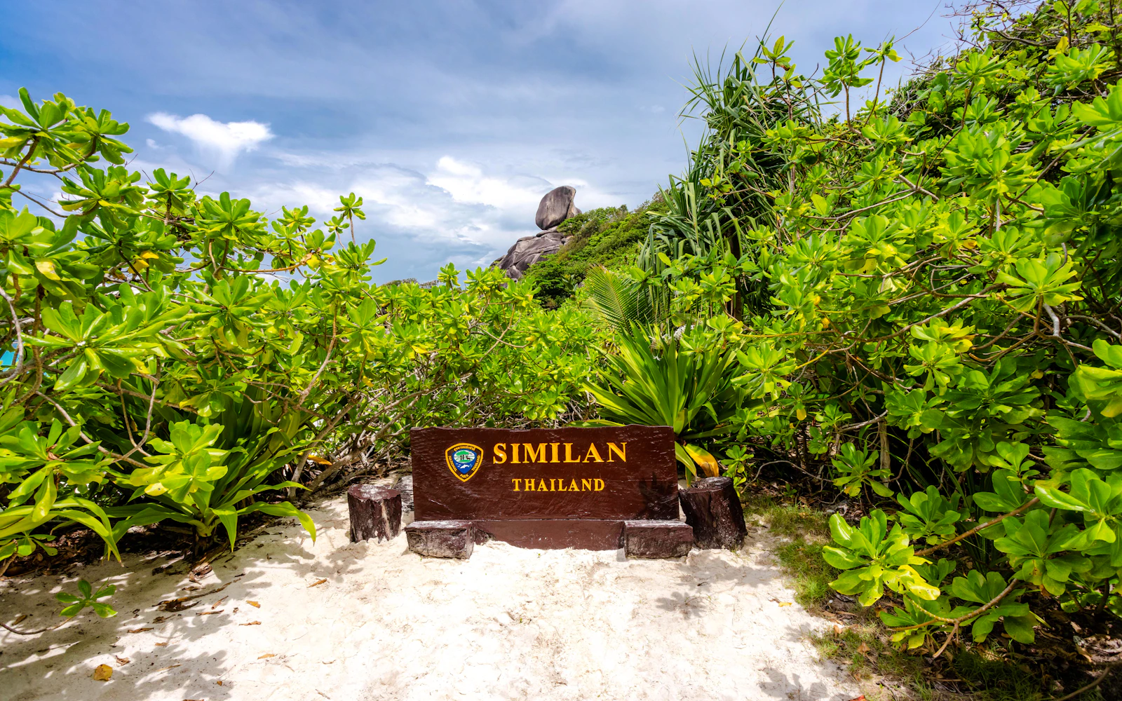 From Phuket or Khao Lak: Similan Islands Speed Catamaran Tour with Snorkeling (Product 53592)