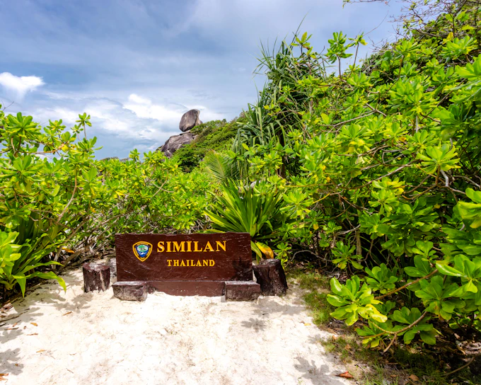 From Phuket or Khao Lak: Similan Islands Speed Catamaran Tour with Snorkeling (Product 53592)