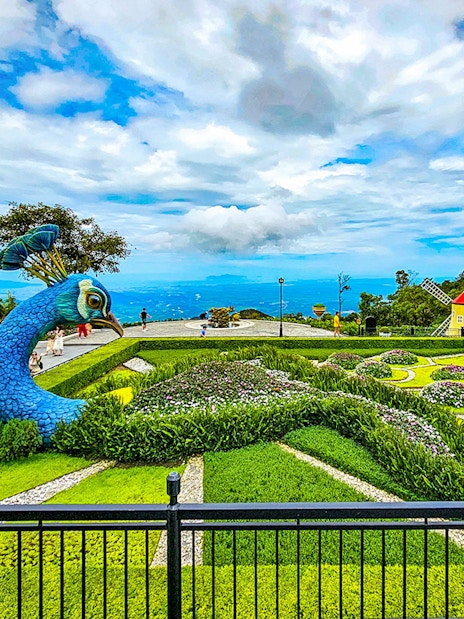 Garden with peacock sculpture and windmill at Sun World Ba Na Hills.