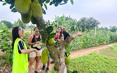 Hanoi Guided Jeep City Tour with Train Street, French Quarter and Red River Communities
