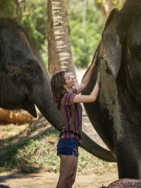 Person interacting with elephants at Elephant Jungle Sanctuary Samui.
