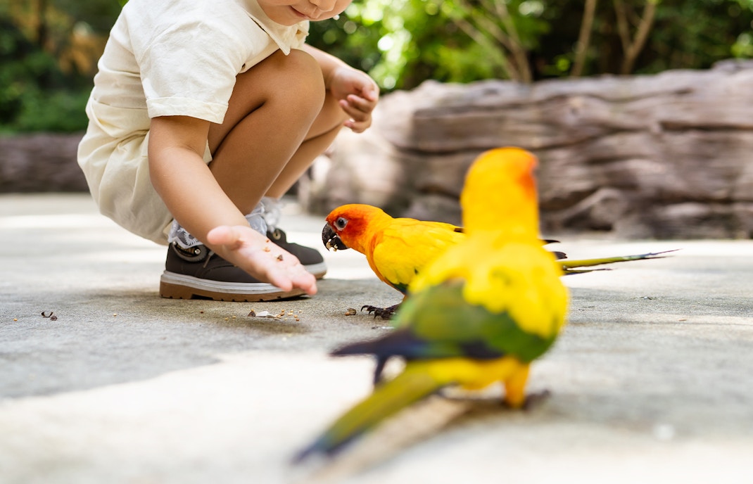 tickets to Zoo aquarium Madrid