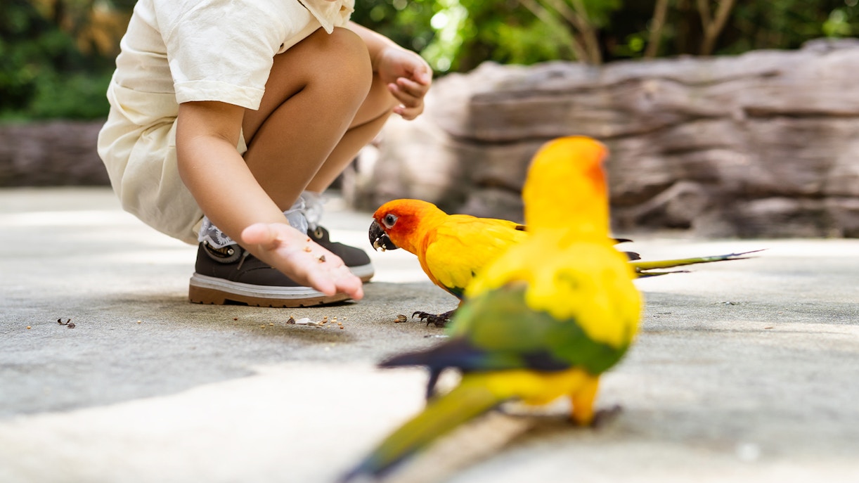 Bioparc Valencia Timings