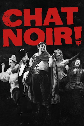 Chat Noir product image