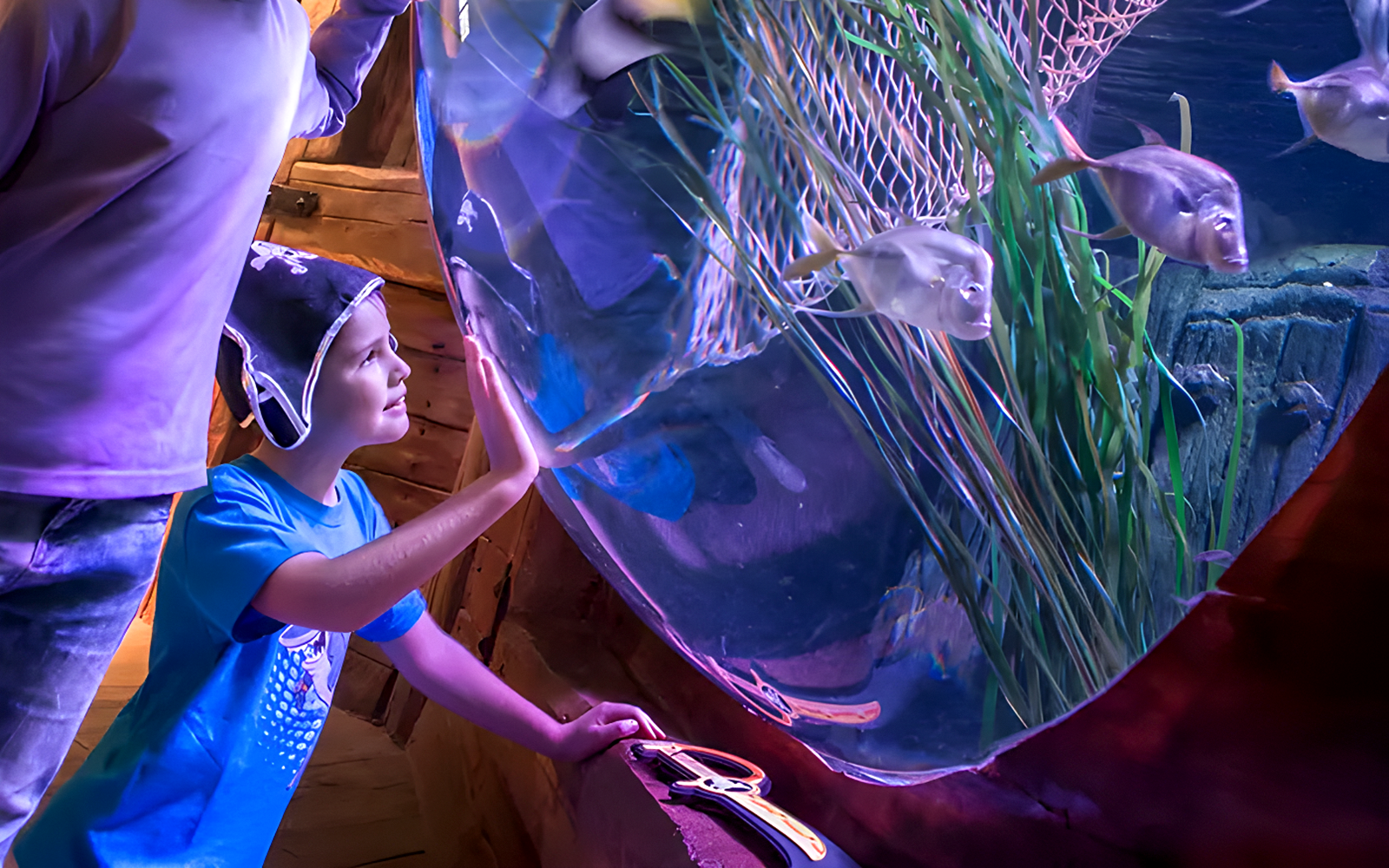 Kids observing fish at SEA LIFE Aquarium, Gardaland Park.