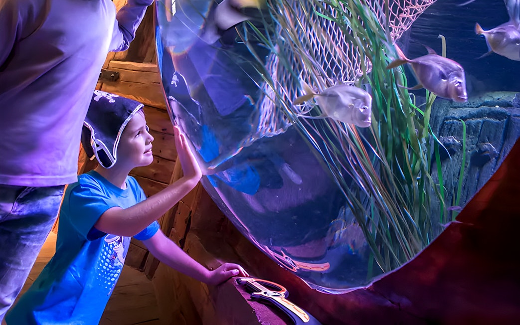 Kids observing fish at SEA LIFE Aquarium, Gardaland Park.