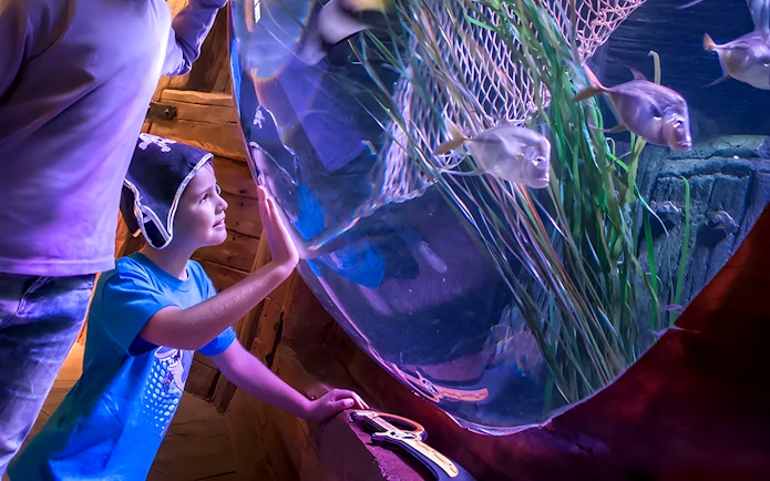 Kids observing fish at SEA LIFE Aquarium, Gardaland Park.