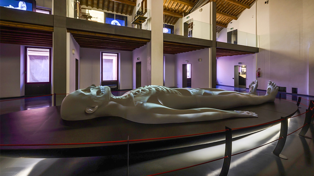 Padua Medical Museum tickets.