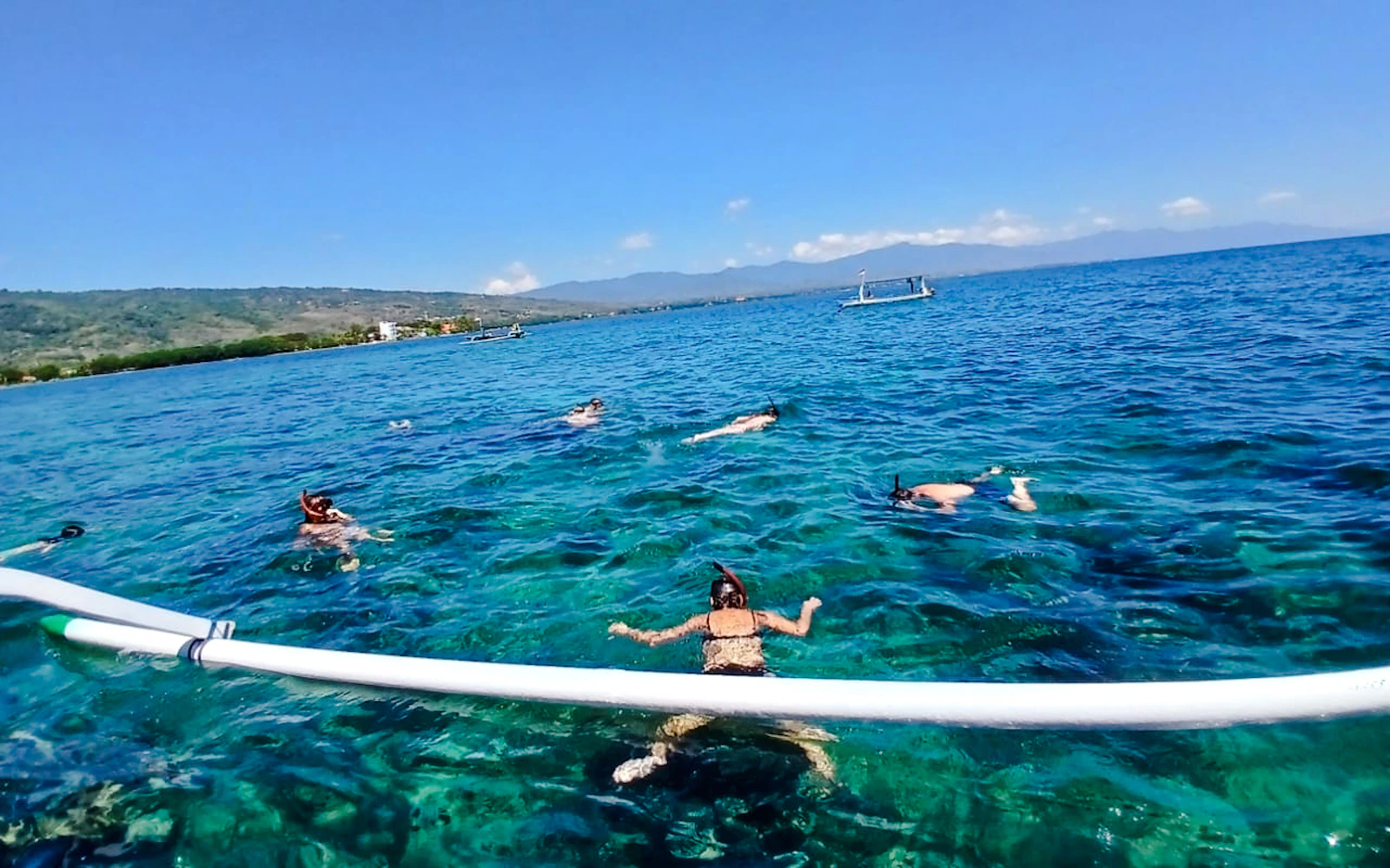 From Central Bali: Private Lovina Dolphin-Watching Boat Tour including Swimming with Dolphins and Snorkeling Image 2