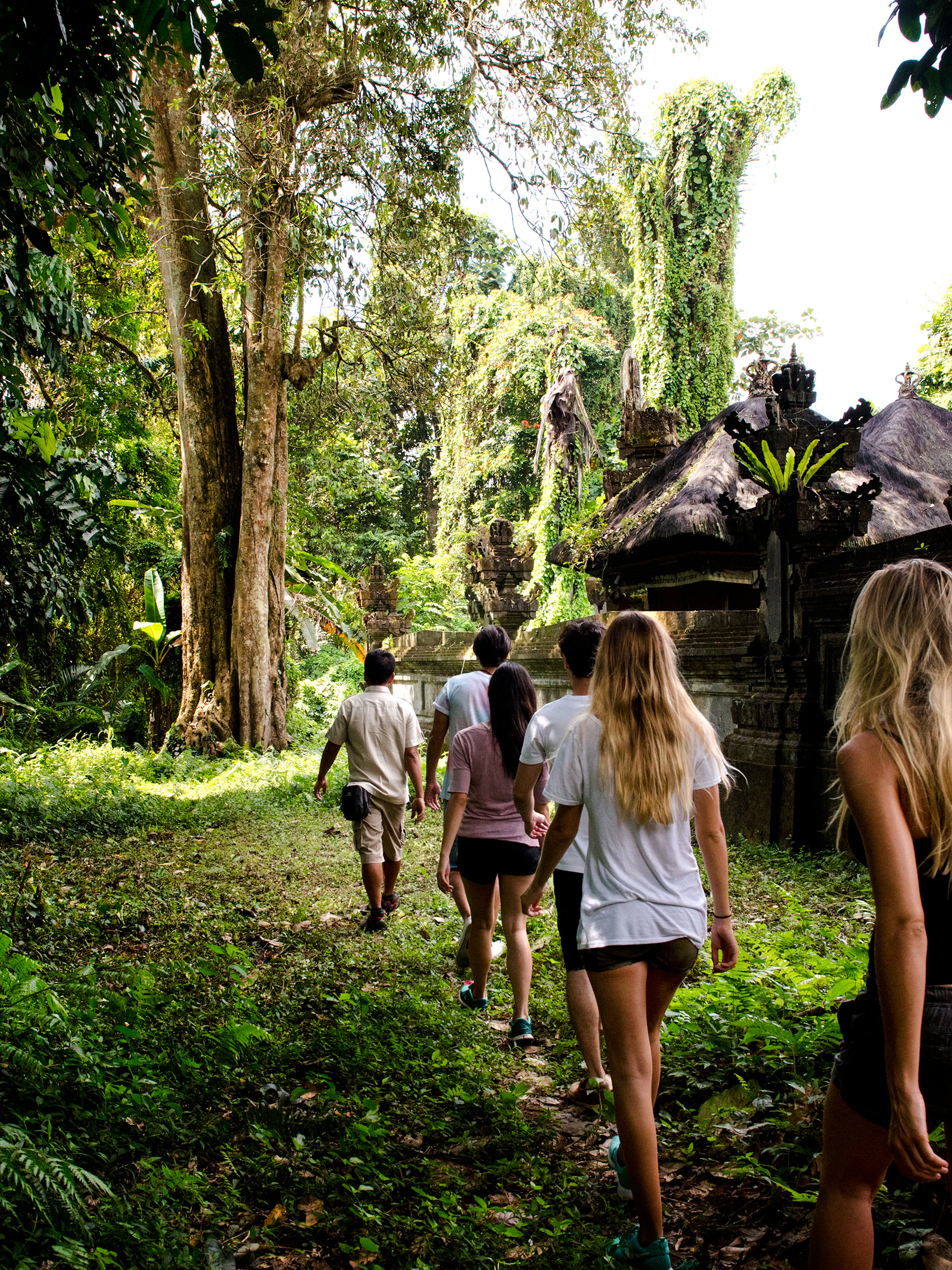 escursione guidata nella giungla di bali nel villaggio di taro con trasferimenti di andata e ritorno e pranzo incluso-1