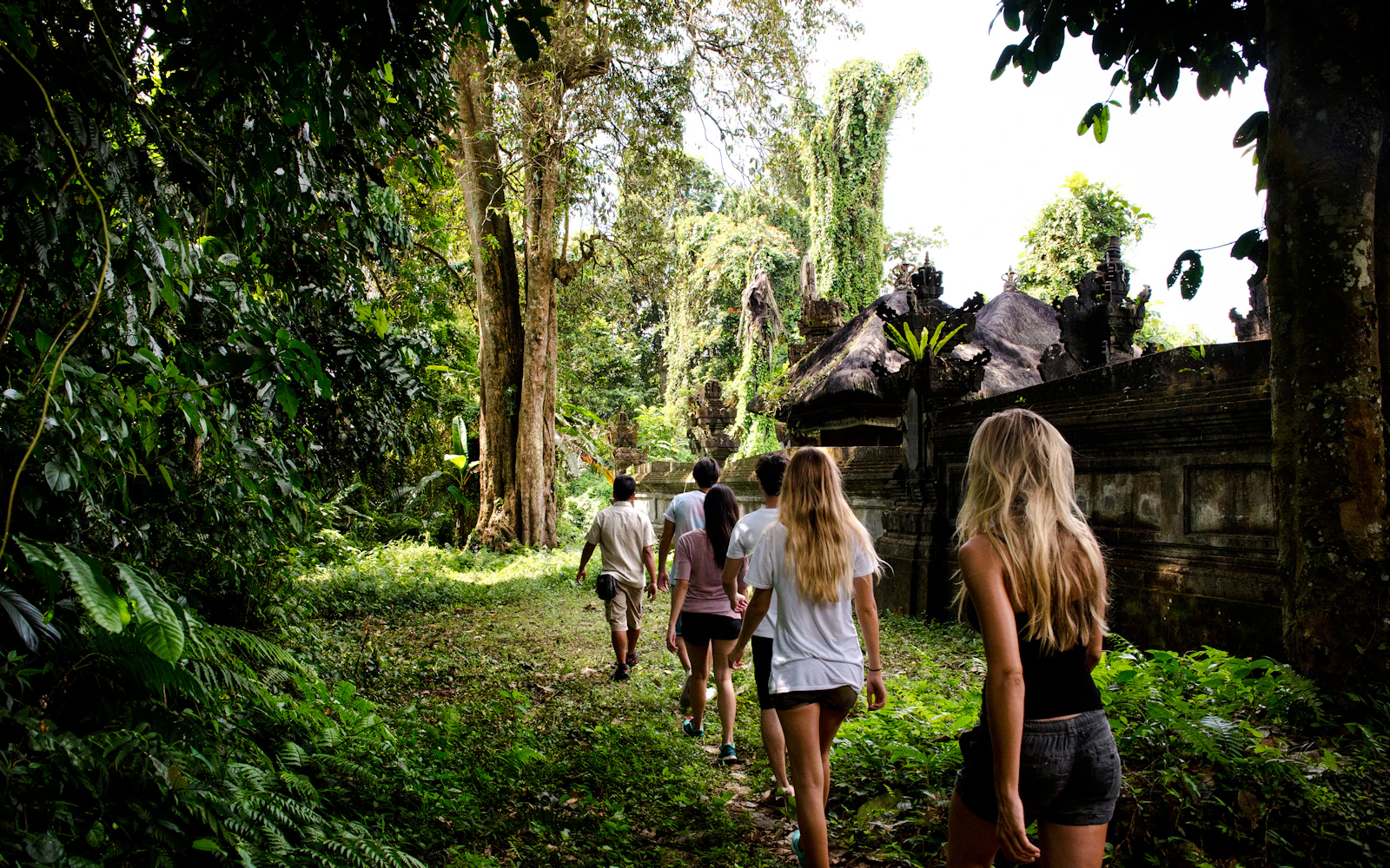 Bali Guided Jungle Trek in Taro Village with Round-Trip Transfers and Lunch (Product 53518)