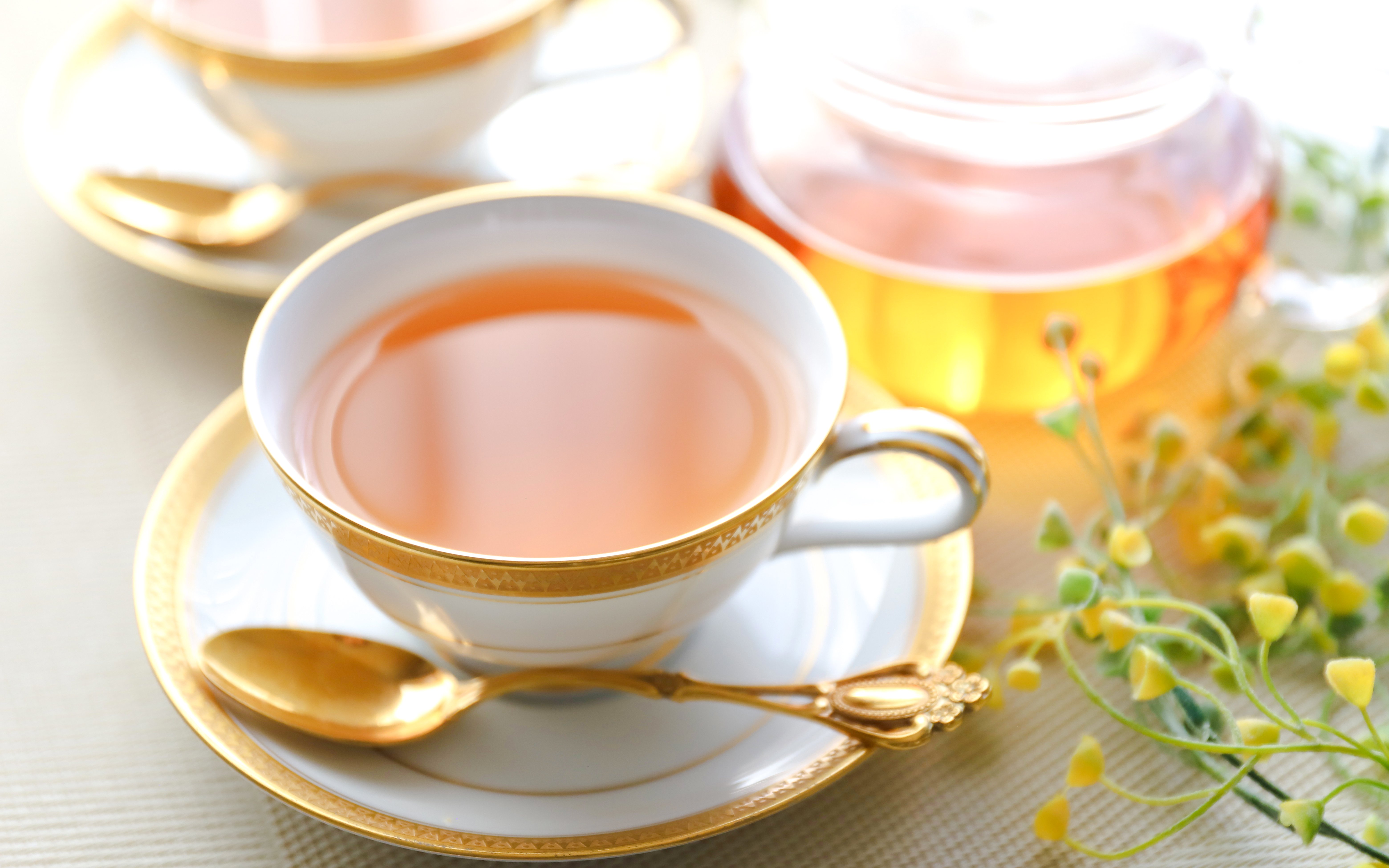 English afternoon tea with a cup of tea, gold-trimmed saucer, and spoon.