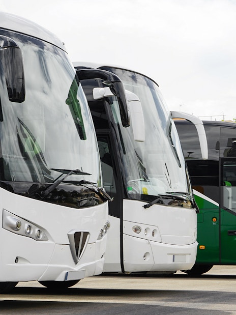 Parked buses at a terminal with buildings in the background.