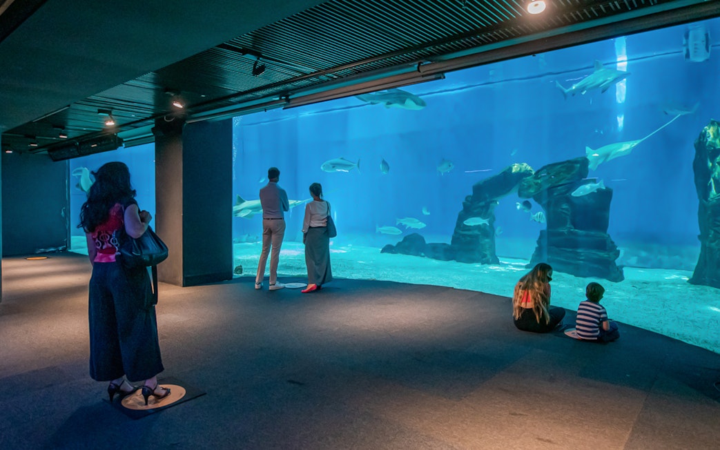 Visitors observing marine life at the Aquarium of Genoa.