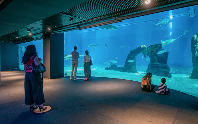 Visitors observing marine life at the Aquarium of Genoa.