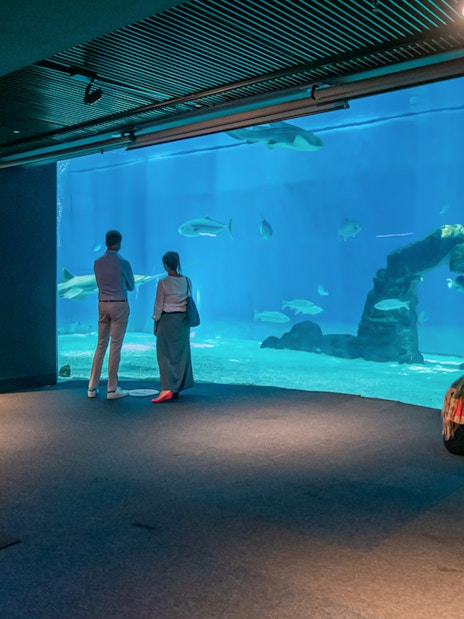 Visitors observing marine life at the Aquarium of Genoa.