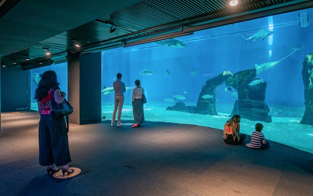 Visitors observing marine life at the Aquarium of Genoa.