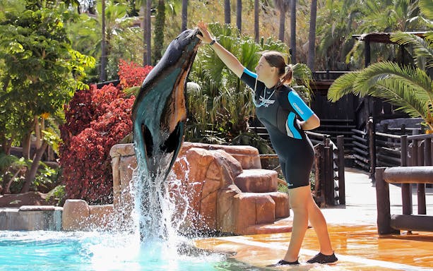 Sealion performing with trainer at Jungle Park Tenerife.