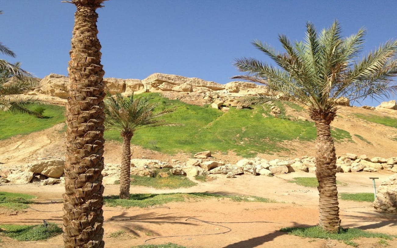 testing ain city tour from abu dhabi-5