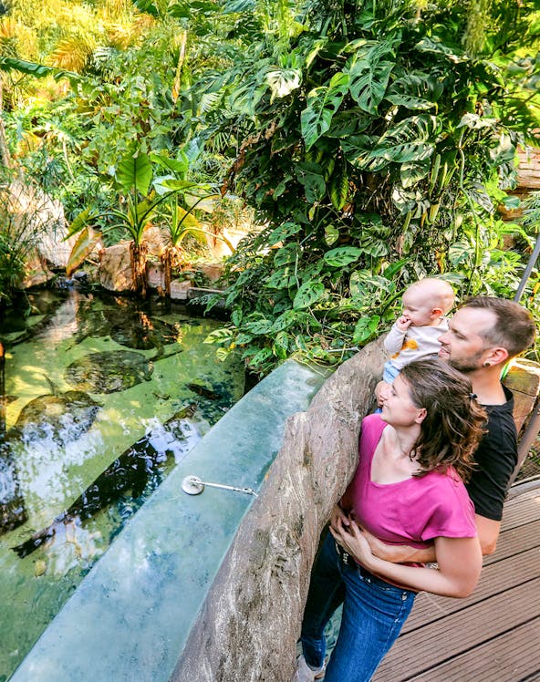Couple with child at tropical greenhouse, Sea Life Hannover.