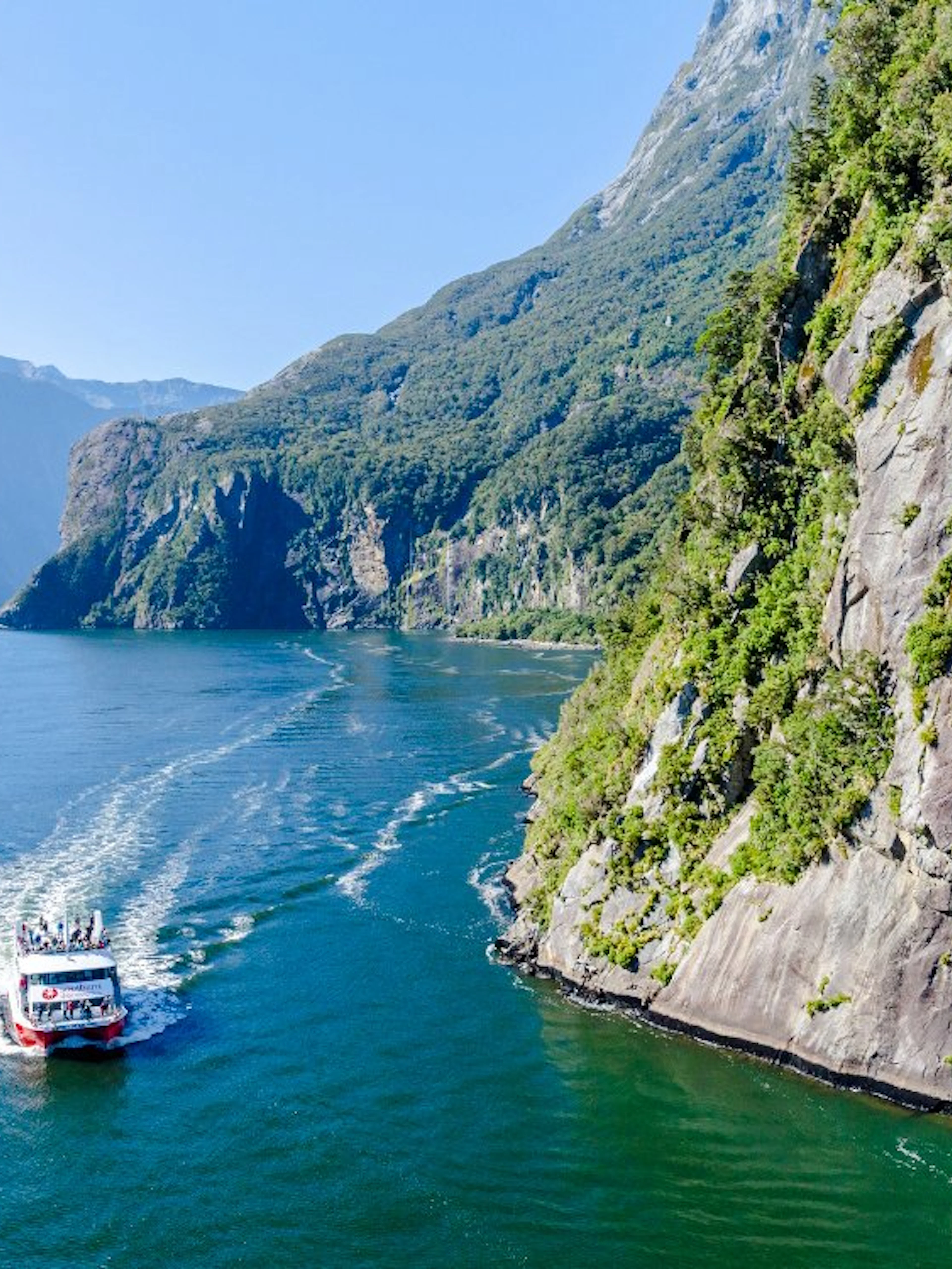 Cruise ship sailing through Milford Sound, New Zealand with towering cliffs and lush greenery.
