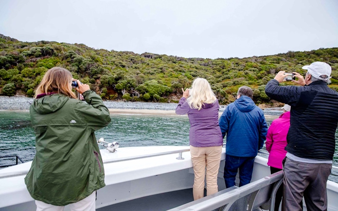 Tourists on a boat in Stewart Island view the lush, tree-covered shoreline.