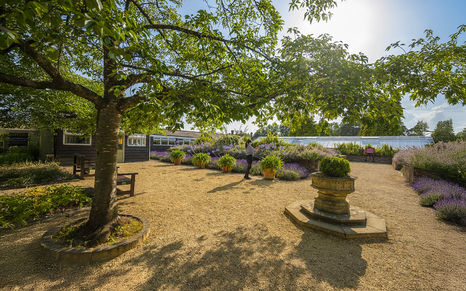 blenheim palace tickets