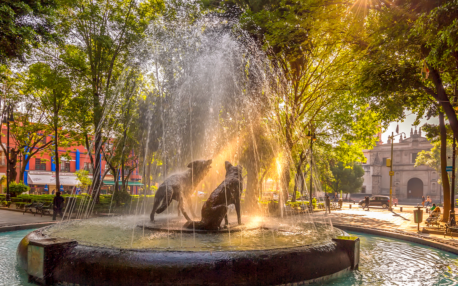 Fountain with coyote sculptures in Coyoacan, Mexico City, surrounded by trees and historic buildings.
