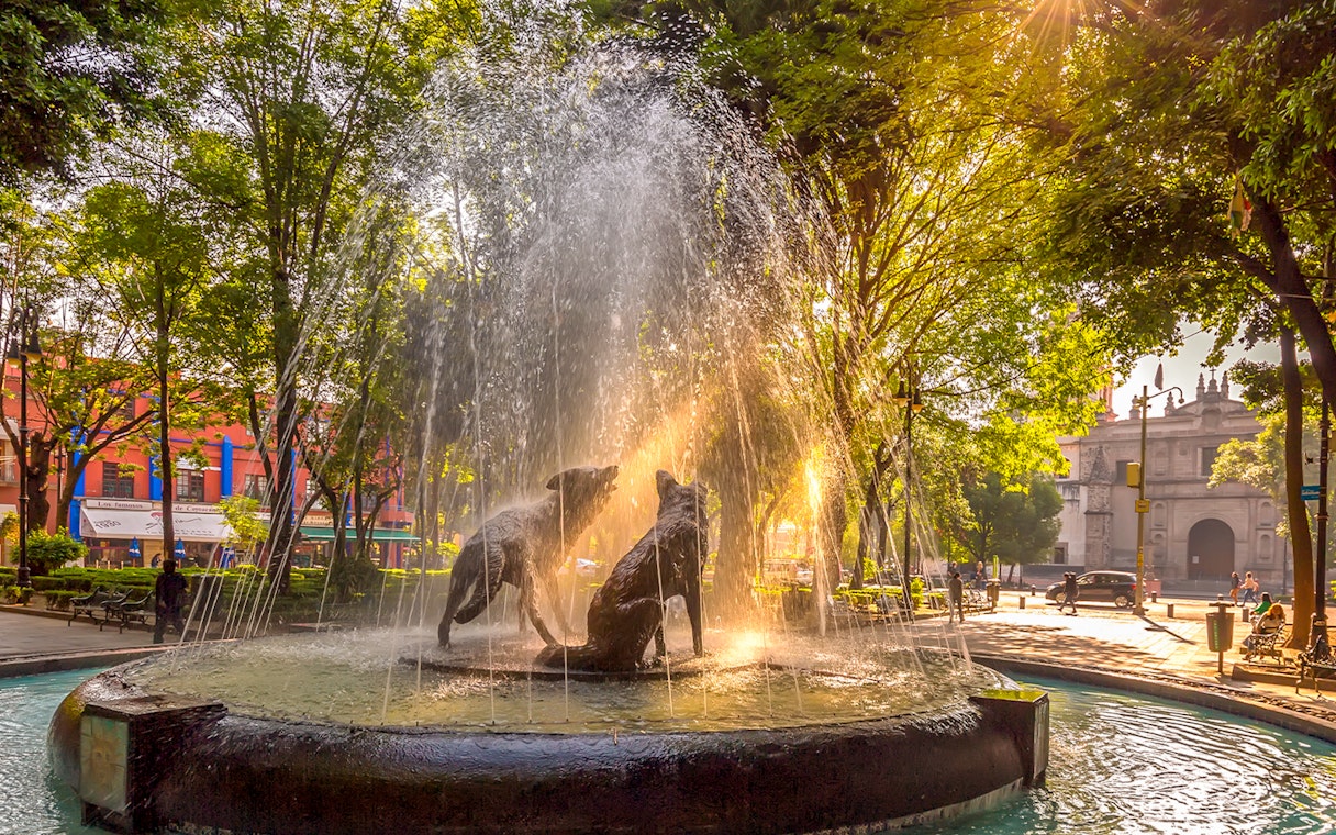 Fountain with coyote sculptures in Coyoacan, Mexico City, surrounded by trees and historic buildings.