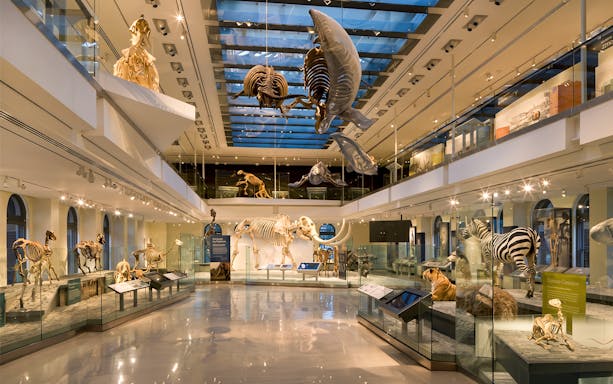 ingressos para o museu de história natural do condado de los angeles-2