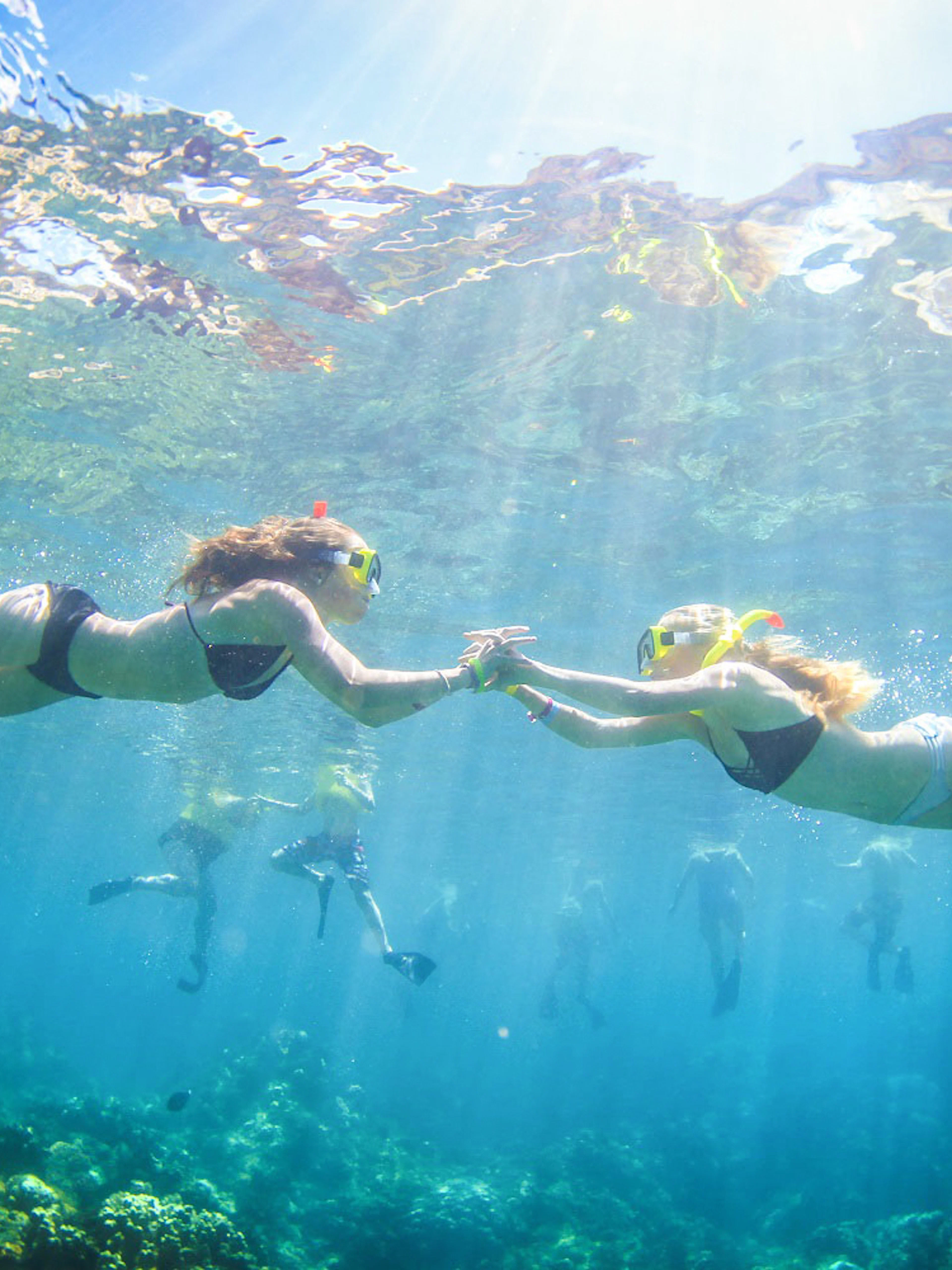 Snorkelers exploring coral reefs during luxury sail tour in Maui, Hawaii.