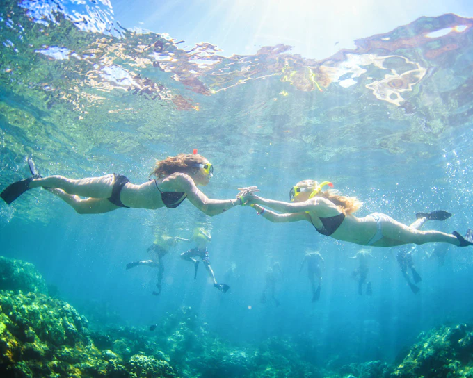 Express West Maui Snorkel Sail