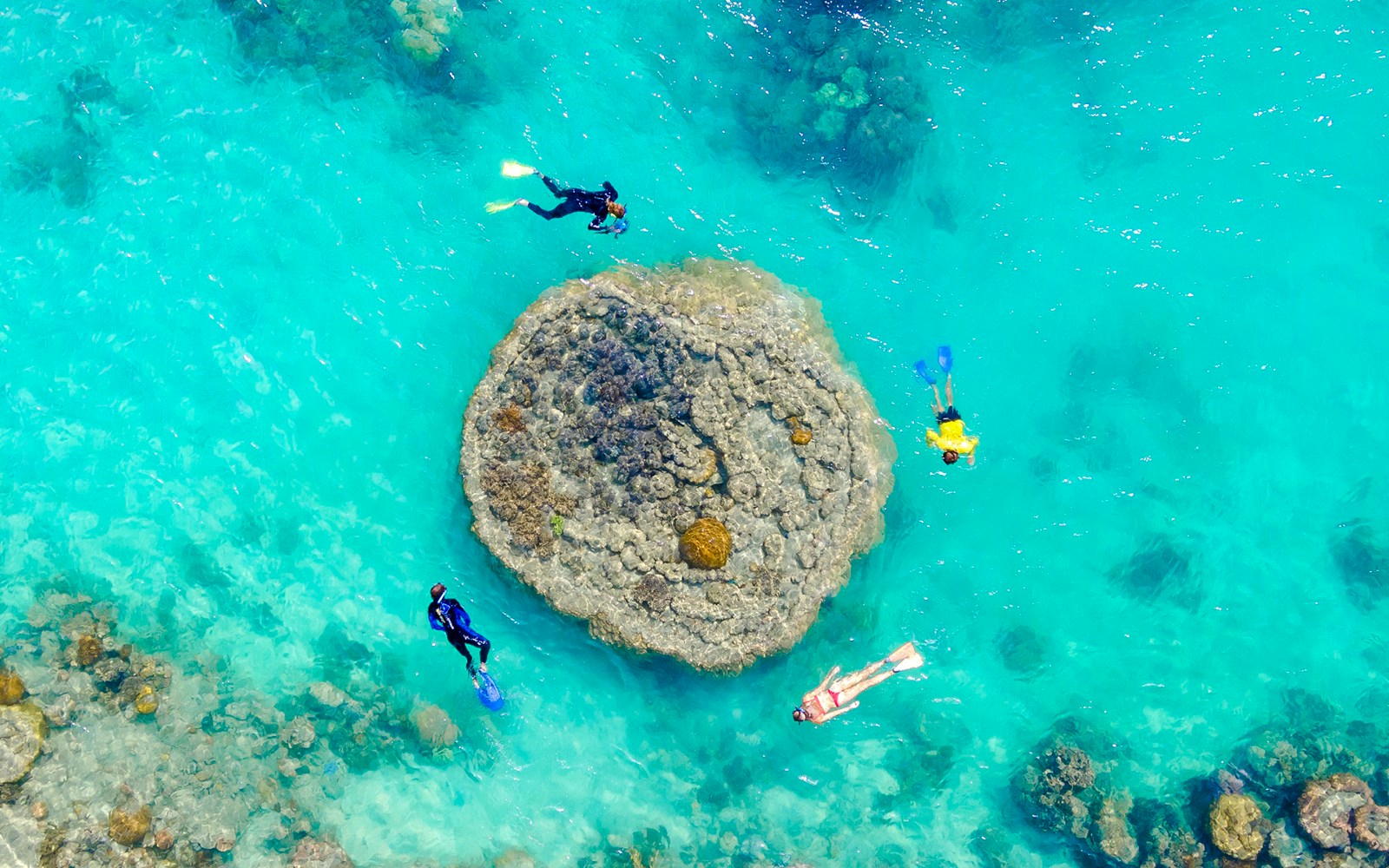 Snorkelers exploring coral reef in clear waters of Whitsundays, Australia.