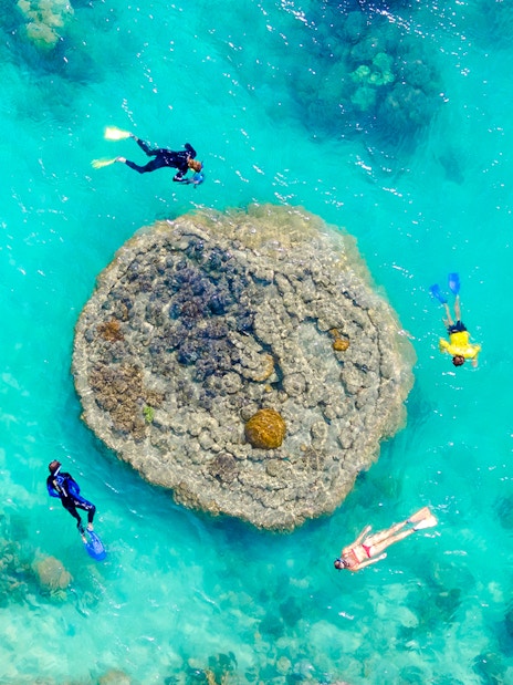 Snorkelers exploring coral reef in clear waters of Whitsundays, Australia.