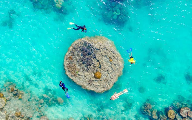 Snorkelers exploring coral reef in clear waters of Whitsundays, Australia.