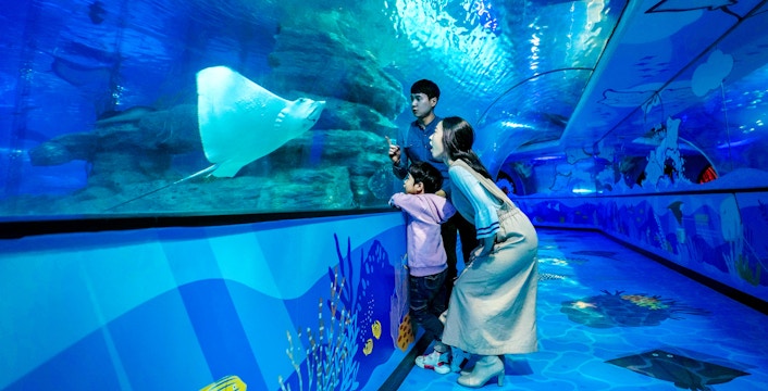 Lunar New Year in Busan