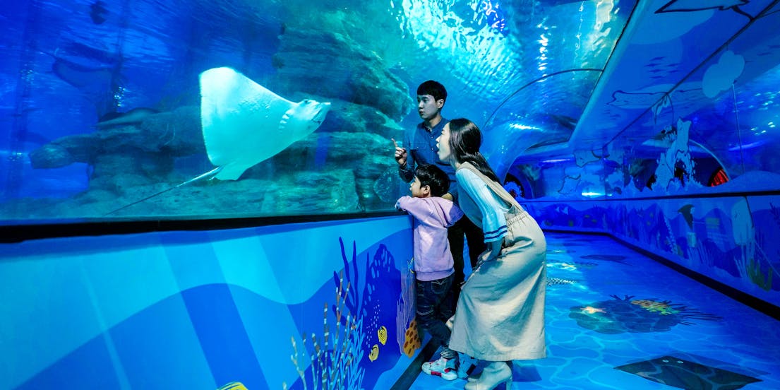 Mond-Neujahrsfest in Busan