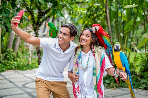 Bali Bird Park Tickets