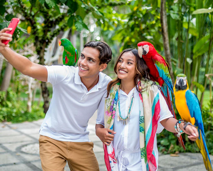 Bali Bird Park Tickets