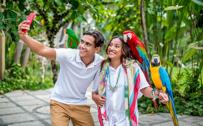 Visitors taking a selfie with colorful parrots at Bali Bird Park.