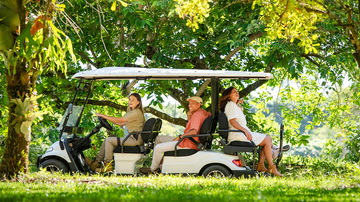 Tourists in front of Australia Zoo