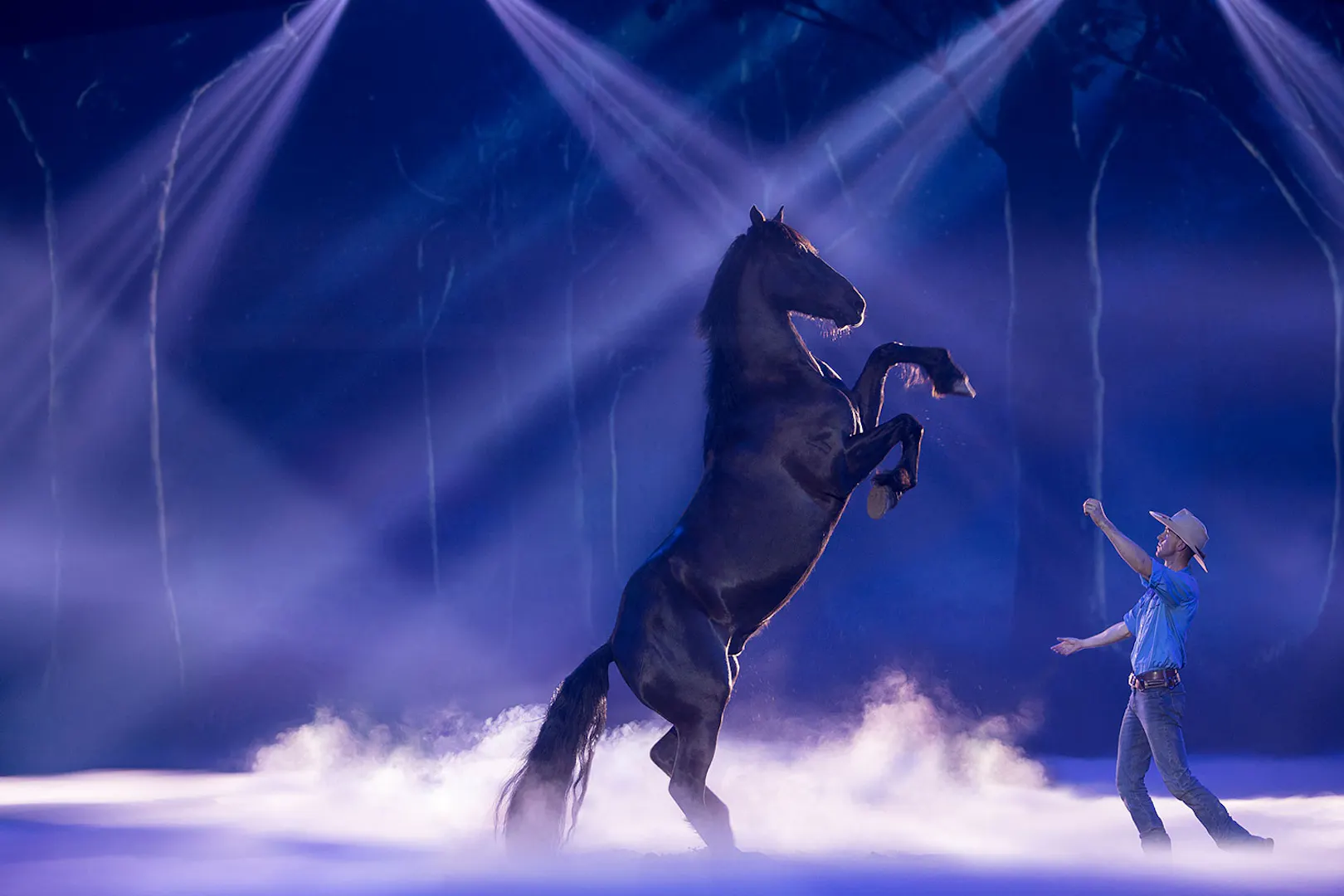 Outback Experience Australian Outback Spectacular Tickets | Gold Coast | 3-Course Dinner