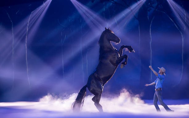 Horse rearing during Australian Outback Spectacular Heartland Dinner & Show performance.