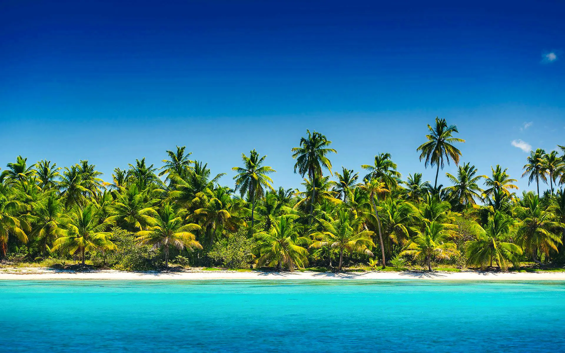 Tropical beach with palm trees and turquoise water on Saona Island.