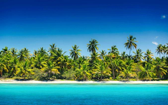 Tropical beach with palm trees and turquoise water on Saona Island.